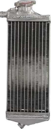 Radiator, motorkjøling 4 RIDE RAD-169R