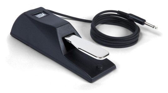 Leem Fs-500 Sustainpedal M/polaritetsbryter