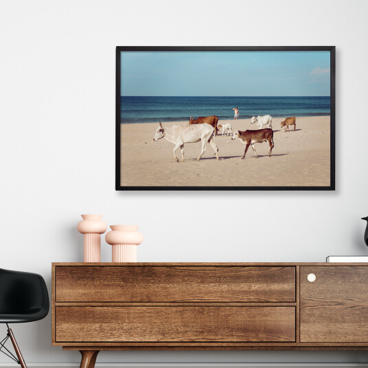 Cows at the beach av Frames Cows at the beach av Frames