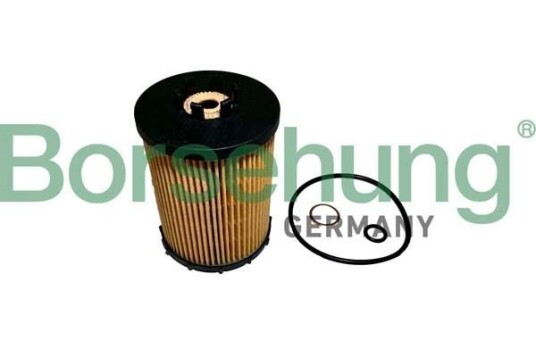 Oljefilter Borsehung B12456
