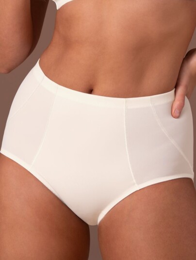 Anita Clara High Waist Brief 36