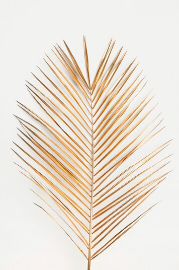 Malerifabrikken   Poster Palm leaf gold   Gull