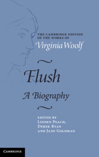 Flush Flush