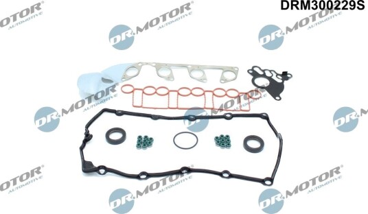 Tetningssett, topplokk DR.MOTOR AUTOMOTIVE DRM300229S
