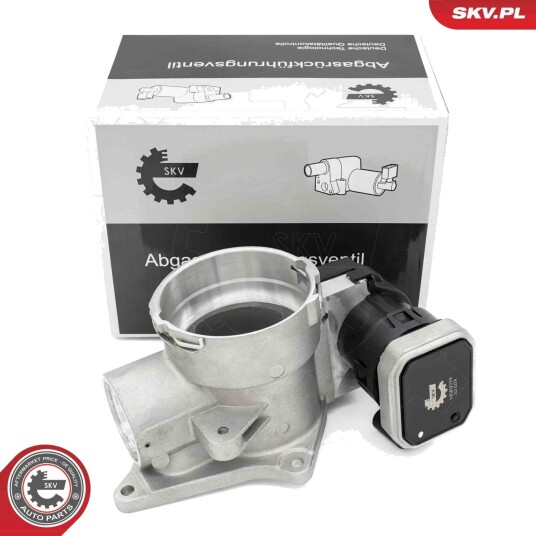 EGR Ventil ESEN SKV 14SKV279