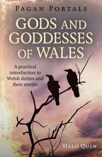 Pagan Portals - Gods And Goddesses Of Wales Av Halo Quin