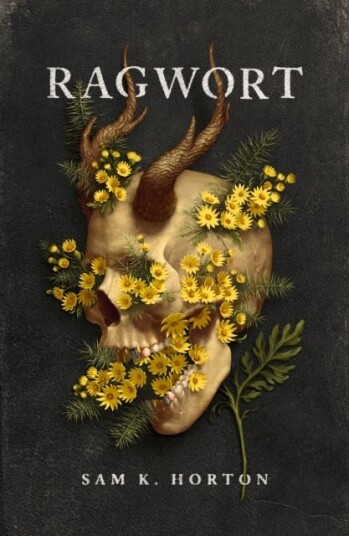 Ragwort Ragwort