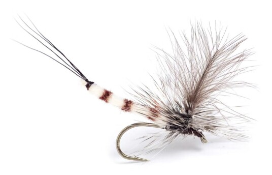 Umpqua Flies Gl Danica Dun