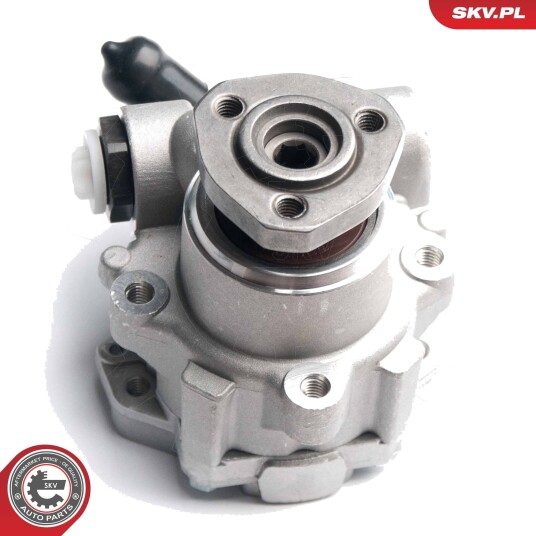 ESEN SKV 10SKV173 Servopumpe