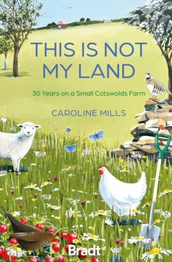 This is not my land This is not my land