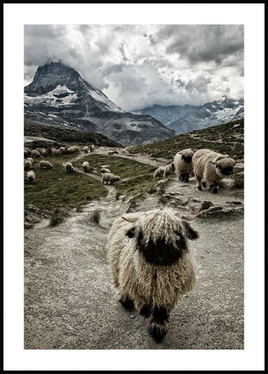 Susanne Landolt Out of my way Plakat / 100x150cm