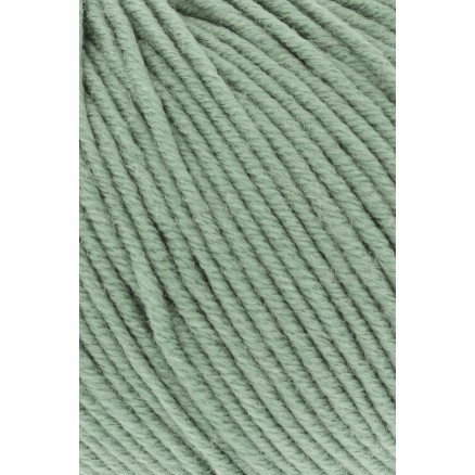 Lang Yarns Merino 120 Garn 91 Salvie