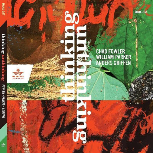 Chad Fowler Thinking Unthinking CD