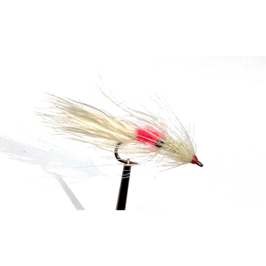 Midgar Kvitebjørn White,pink spot #6