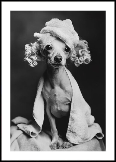 Spa Day Pooch Poster Plakat / 50x70cm Spa Day Pooch Poster Plakat / 50x70cm