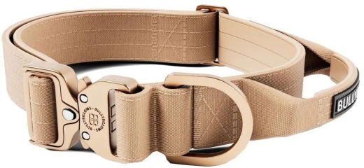 Bullybillows Bullybillow Combat Hundehalsbånd Med Håndtak Beige 4 cm (Xs)