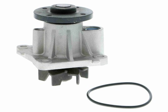 VAICO V30 50064 Vannpumpe