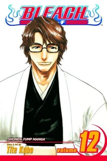 Bleach, Vol. 12 Av Tite Kubo