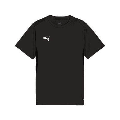 Puma teamGOAL Jersey fotballtrøye junior Svart 164