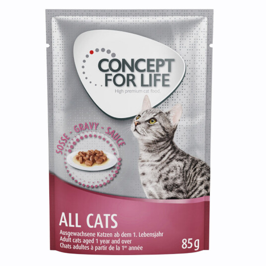 Concept For Life All Cats I Saus 24 X 85 G