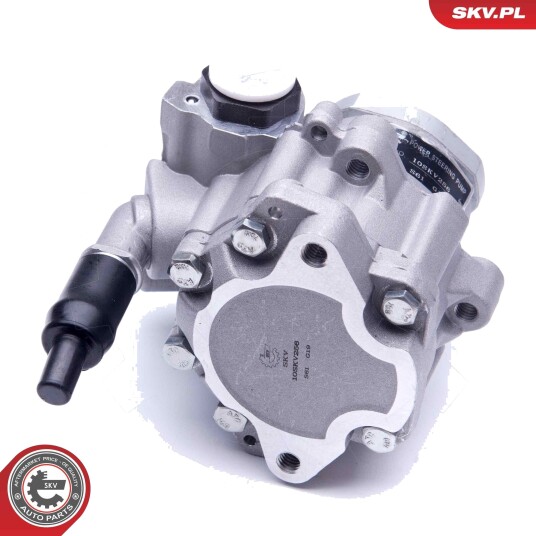 Servopumpe ESEN SKV 10SKV256