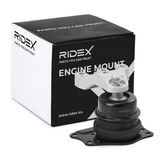Motorfeste RIDEX 247E0820