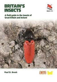 Britain'S Insects Av Dr. Paul D. Brock