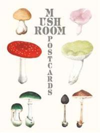Mushroom Postcards Mushroom Postcards