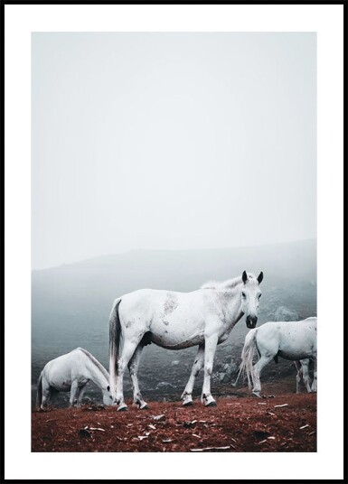 White Horses in The Fog Plakat Plakat / 21x30cm White Horses in The Fog Plakat Plakat / 21x30cm