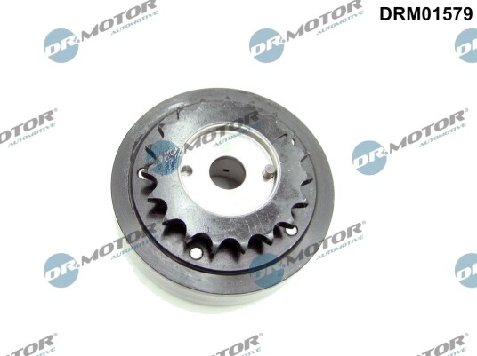 DR.MOTOR AUTOMOTIVE DRM01579 Kamakselregulering