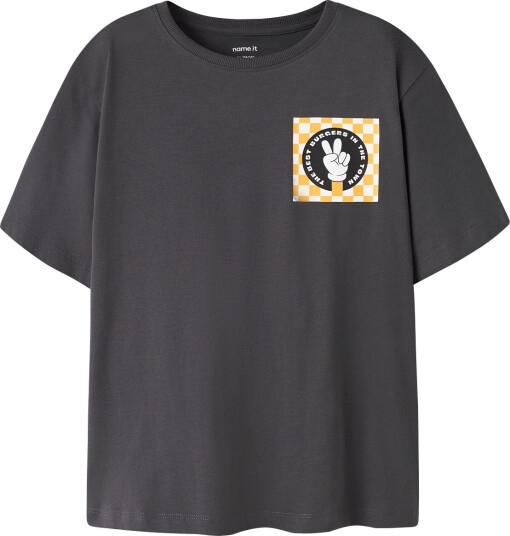 Name It Nkmolaff Ss Nreg Top Box Ps Grey 122 128 Name It Nkmolaff Ss Nreg Top Box Ps Grey 122 128
