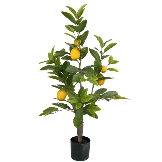 Mr Plant Sitrontre 90 cm Mr Plant Sitrontre 90 cm