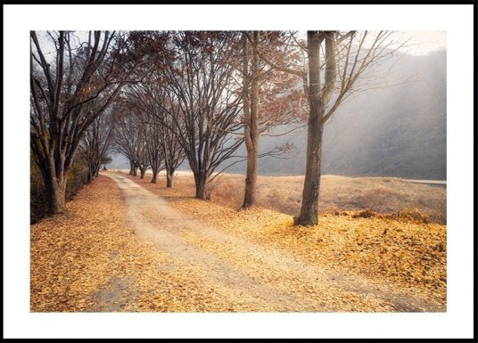 In the middle of autumn Poster Plakat / 21x30cm In the middle of autumn Poster Plakat / 21x30cm