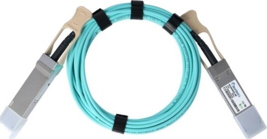 Blueoptics Et7402-Aoc-10M-Bo 10 M Qsfp28 Qsfp28 Hankjønn/Hankjønn