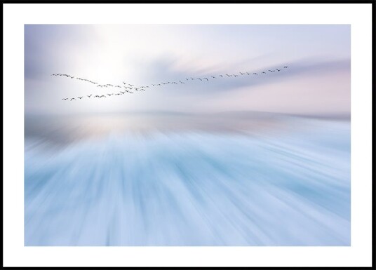 fly over Poster Plakat / 30x40cm fly over Poster Plakat / 30x40cm
