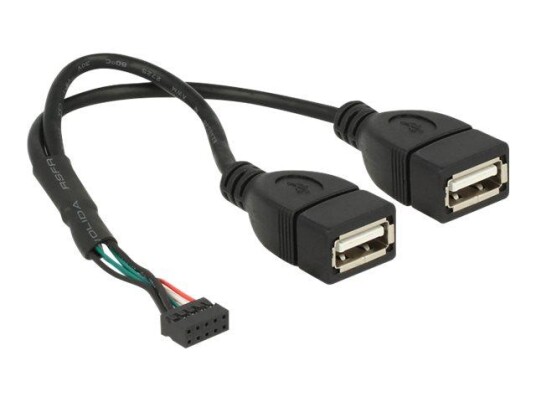 Delock intern-til-ekstern USB-kabel - 10-pins USB-kontakt til USB - 20 cm