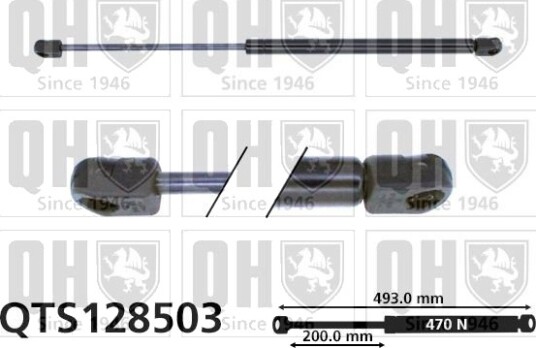 QUINTON HAZELL QTS128503 Baklukedemper