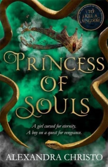 Princess of Souls from the author of To Kill a Kingdom, the TikTok sensation!
