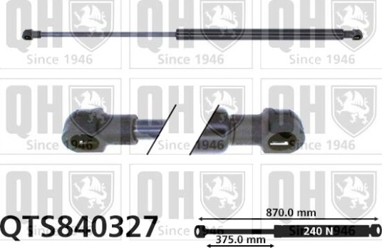 QUINTON HAZELL QTS840327 Baklukedemper