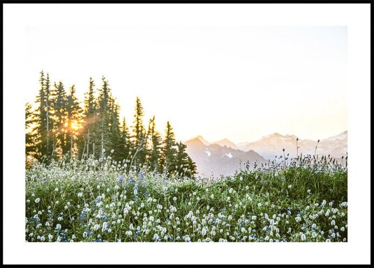 Alpine Dawn Wildflowers and Forest Sunrise Plakat Plakat / 30x40cm Alpine Dawn Wildflowers and Forest Sunrise Plakat Plakat / 30x40cm