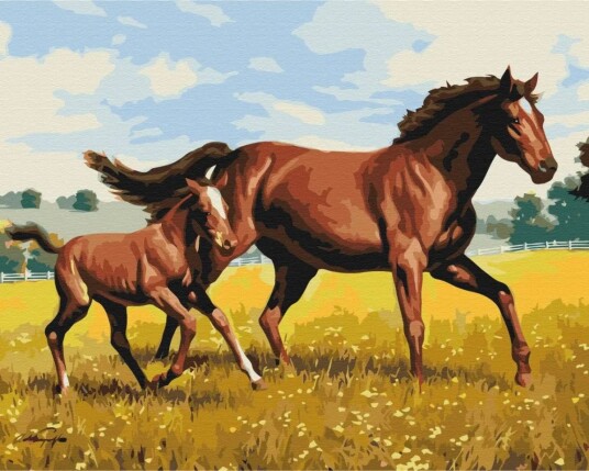 Symag Paint It! Mal Etter Tall 40x50 cm Familiegalopp