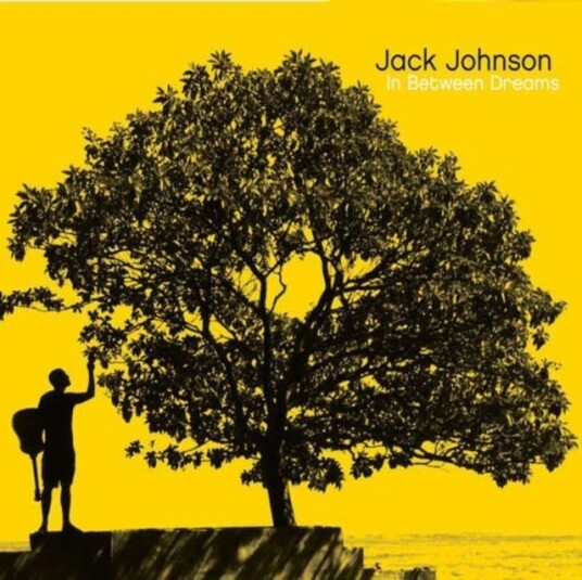 Jack Johnson  In Between Dreams  LP/Vinyl