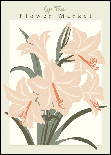 Flower Market Cap Town Amaryllis Plakat Plakat / 21x30cm