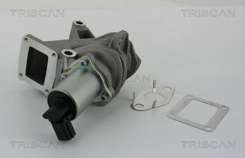 EGR-ventil TRISCAN 8813 25100
