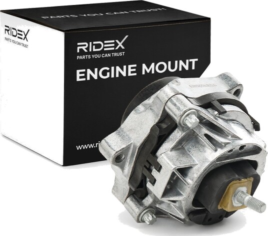 RIDEX 247E1143 Motorfeste