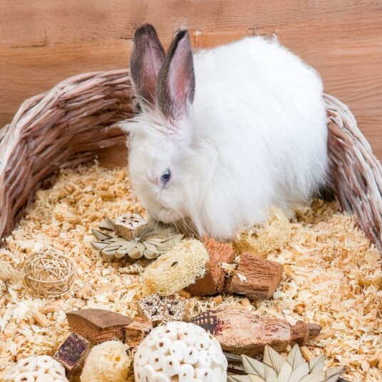 Quapas! Nibble Eske Med Smådyrsleker Stjerner Quapas! Nibble Eske Med Smådyrsleker Stjerner
