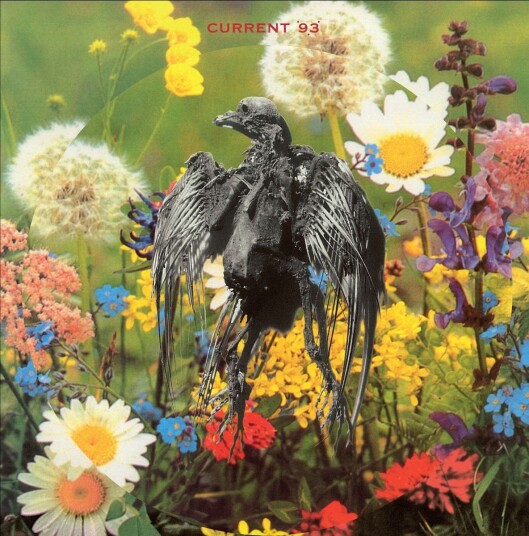 Current 93 Swastikas For Noddy LP/Vinyl Current 93 Swastikas For Noddy LP/Vinyl