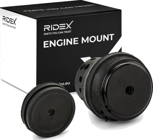RIDEX 247E0828 Motorfeste