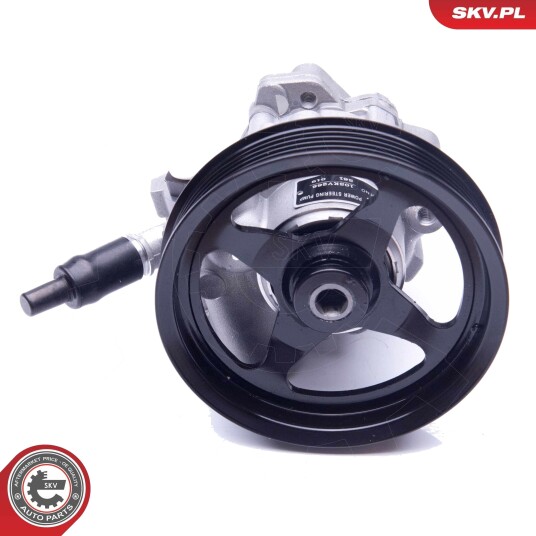 Servopumpe ESEN SKV 10SKV266