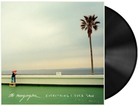 Everything I Ever Saw Vinyl